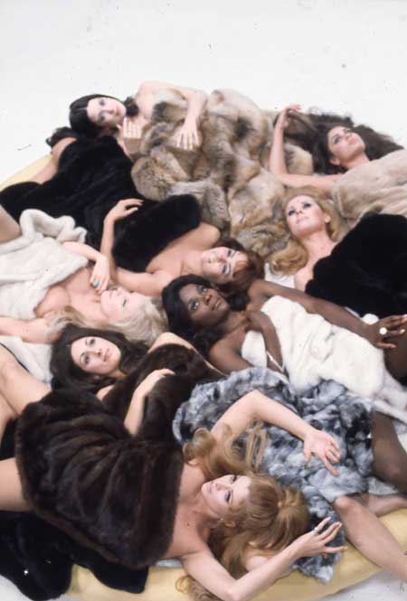 Beyond the valley of the Dolls