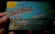 "And he remembers ... Shell Beach? Where was that? He sees it on a billboard and old longings stir."
